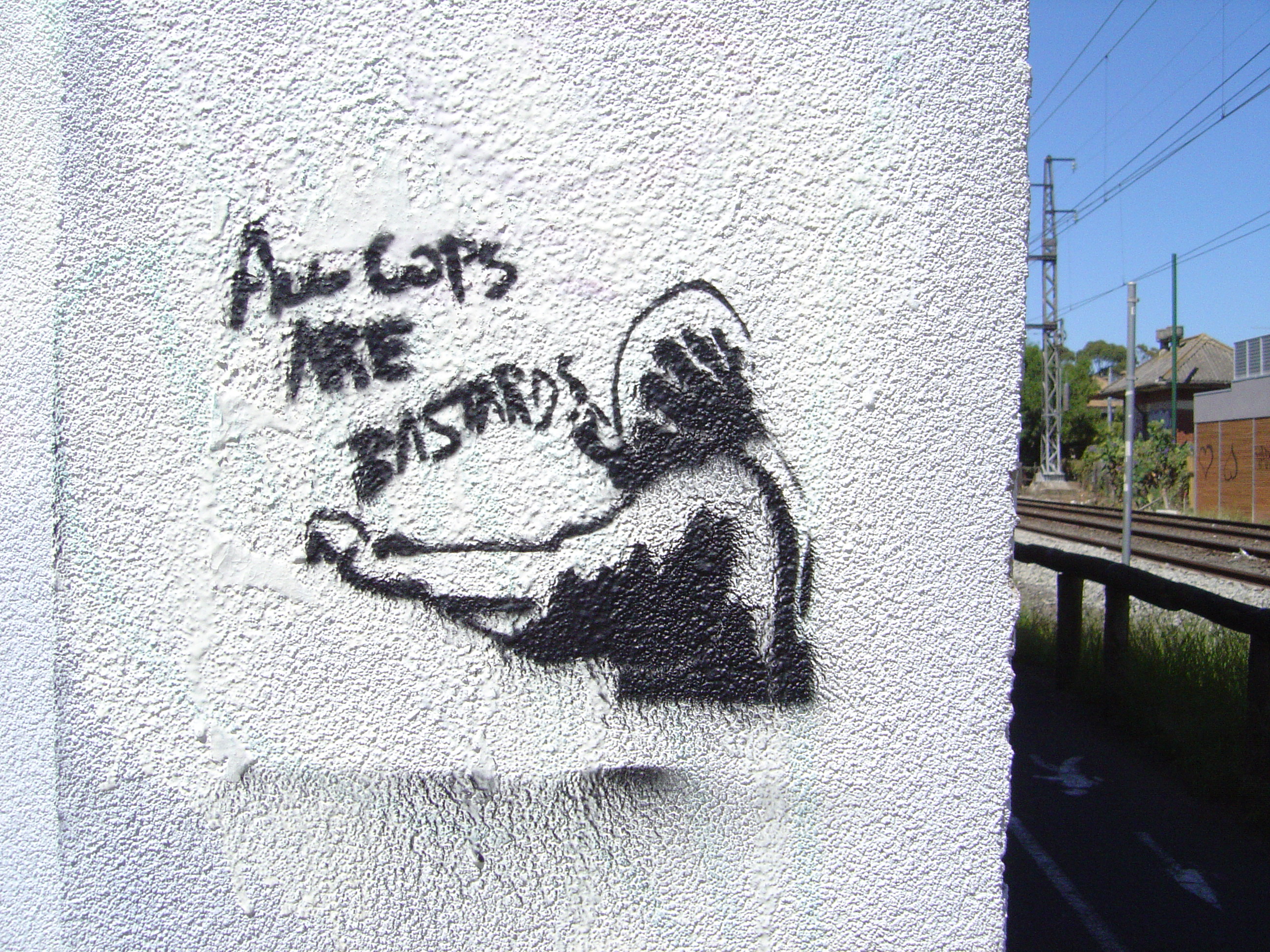 Черный лебедь граффити