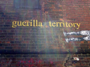 guerilla territory - baby guerilla