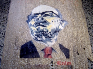 Calm - Murdoch Swine