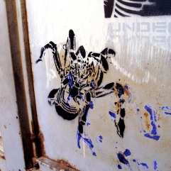 spider-stencil